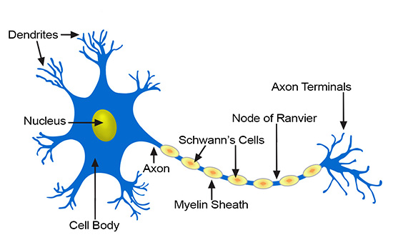 Advanced Micro-Neural Surgery